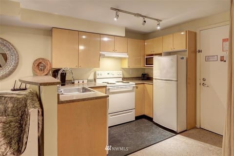 Lovely 1 Bedroom Condo in the Heart of Seattle! Condo in Belltown