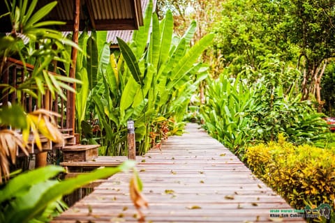 View (from property/room), Garden view
