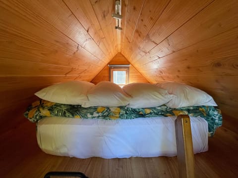 Studio or Cabin on Whitby Bed and Breakfast in Nelson