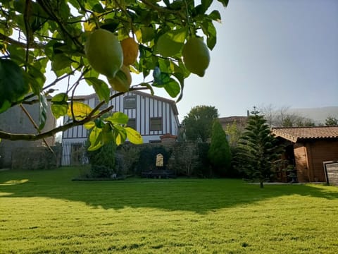 Property building, Garden