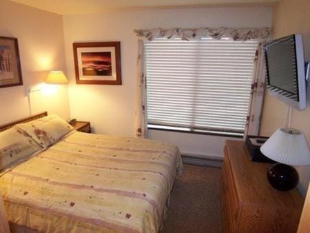 1 Bedroom Premium Condos Copropriété in Mammoth Lakes