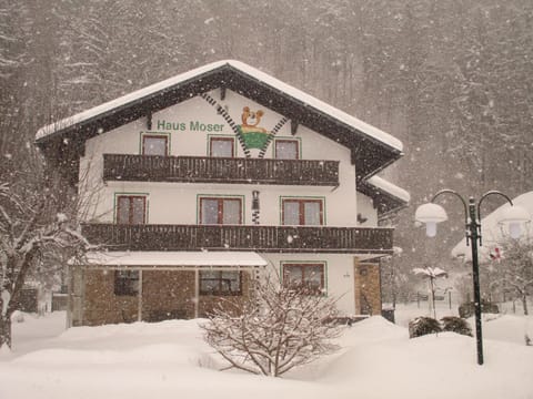Haus Moser Vacation rental in Upper Austria
