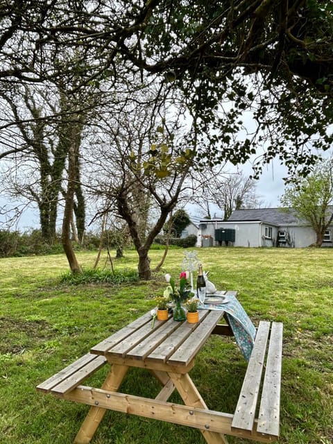 Lemonade Cottages and Retreat House in County Limerick