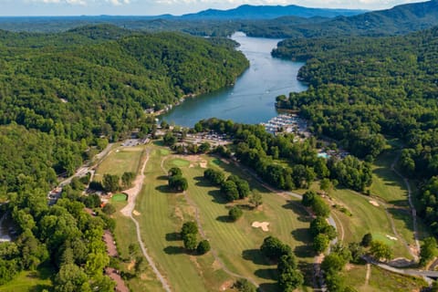 Treetop Serenade Condo in Lake Lure