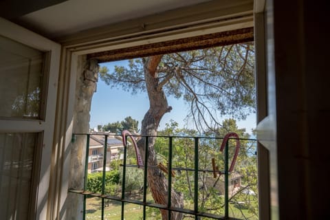 Villa Crisci Appartamenti Selene e Sirio Apartment in Vasto