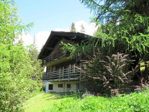 Chalet Nouchka VERB120 House in Bagnes