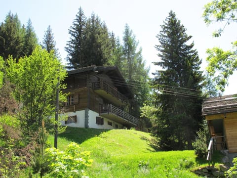 Chalet Nouchka VERB120 House in Bagnes