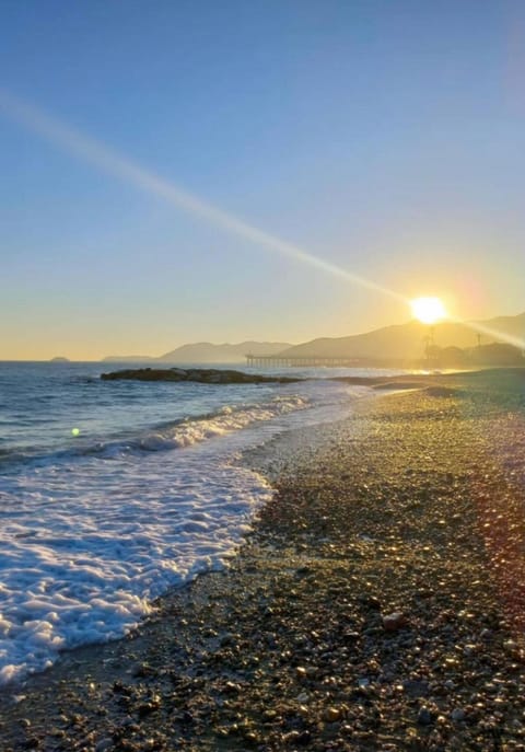 Natural landscape, Beach, Sea view, Sunrise