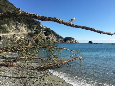 Beach, Sea view