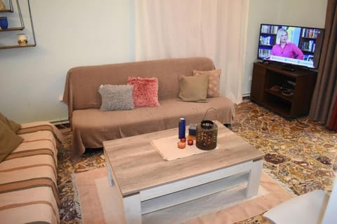 Rose's House Apartment in Trikala