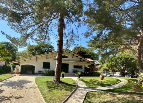 Property building, Garden, Garden, Garden view