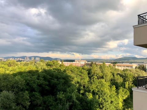 Sunny Dream Apartments Apartment in Sofia