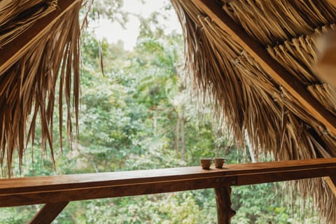 La Ponderosa Reserve Hostel in Magdalena, Colombia