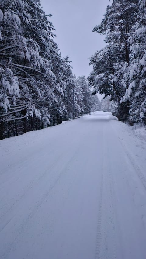 Natural landscape, Winter