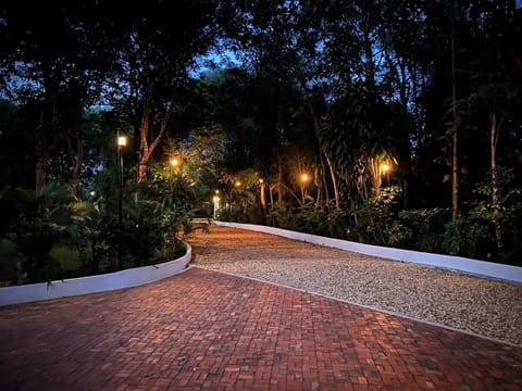 Night, Garden, Garden view