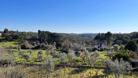 Casa do Avô Patrício - Amazing Country House House in Santarém District, Portugal