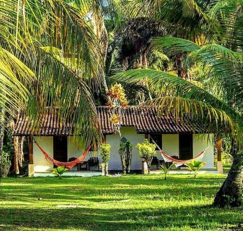 Property building, Garden, Garden view