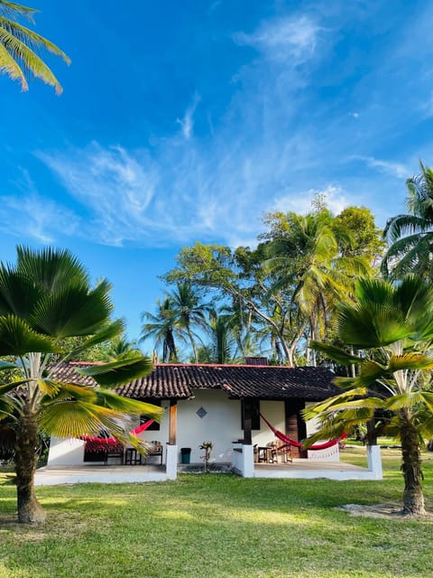 Property building, Garden view