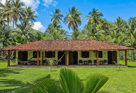 Property building, Garden view