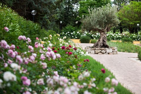 Garden, Lobby or reception, Decorative detail