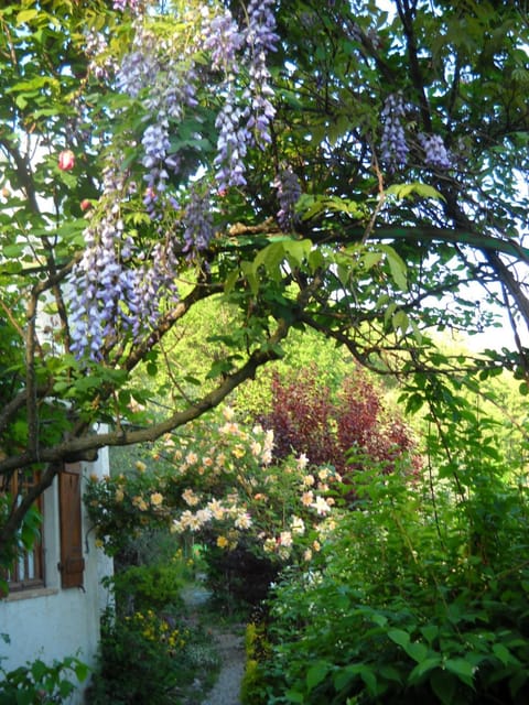 Spring, Garden view