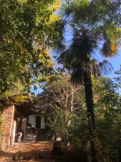 Facade/entrance, Garden