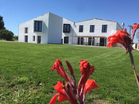 Property building, Garden, Garden view