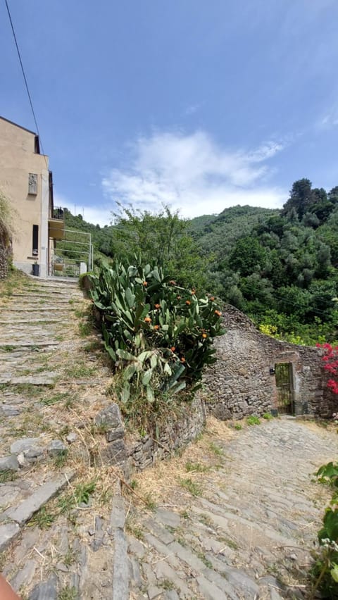 La Casa Dei Limoni Bed and Breakfast in Monterosso al Mare