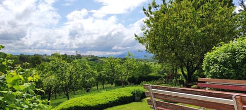 Natural landscape, Garden view