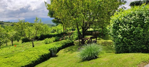 Garden, Garden view