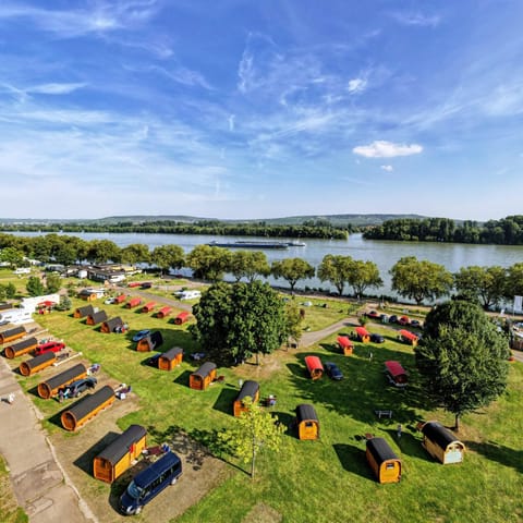 Natural landscape, Bird's eye view, Garden view, River view