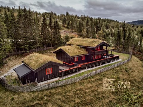 Grand cabin on Nesfjellet Alpin with ski in out House in Viken, Norway