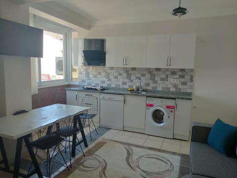 Kitchen or kitchenette, Dining area, dishwasher, washing machine