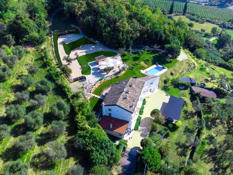 Bird's eye view, Garden