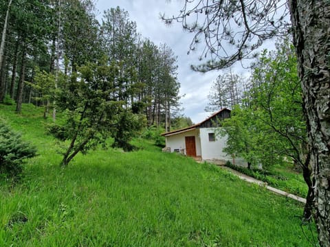 Property building, Natural landscape