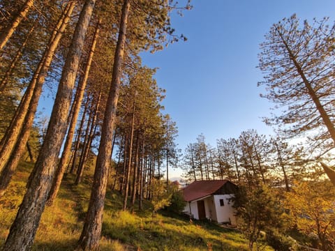 Property building, Spring, Day, Natural landscape