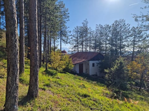 Property building, Spring, Day, Natural landscape