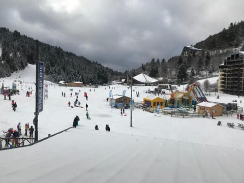 Winter, Skiing, View (from property/room), Mountain view