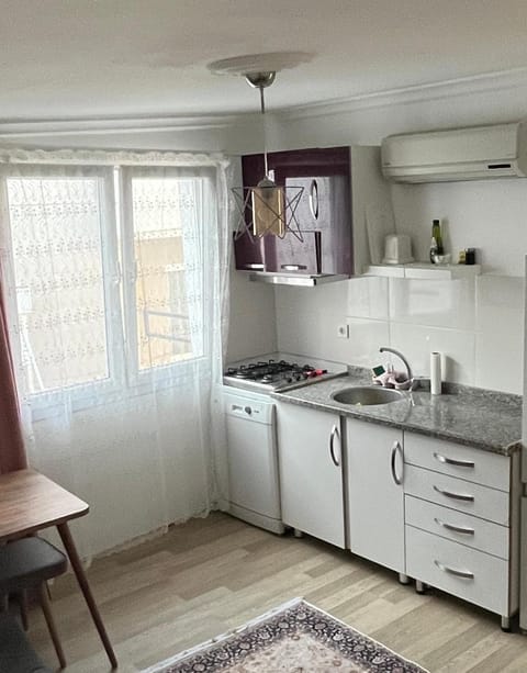 Kitchen or kitchenette, dishwasher, stove