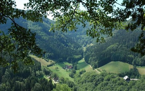 Haldenschwarzhof Apartment in Baden-Württemberg