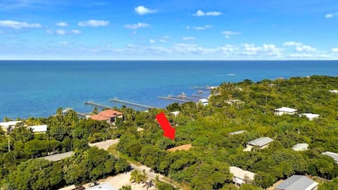 The Florida Keys Treehouse in Marathon, FL House in Marathon