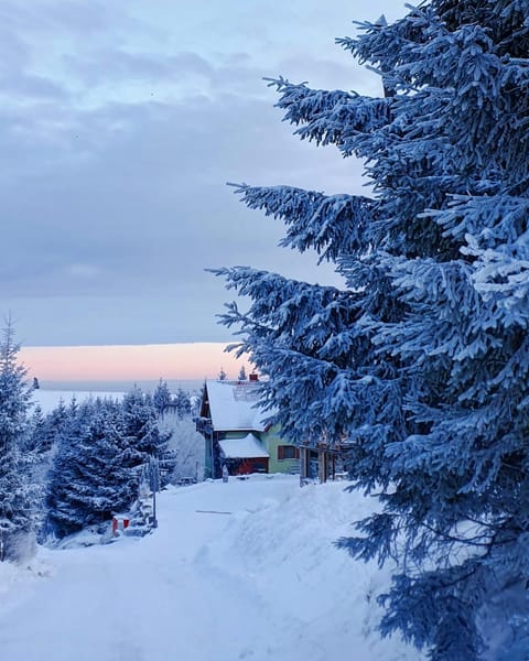 Natural landscape, Winter, Sunrise