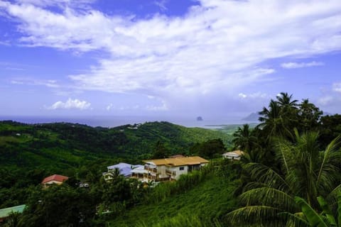 Natural landscape, Garden view, Sea view