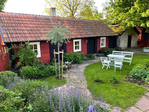 Patio, Facade/entrance, Garden