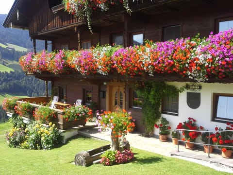 Property building, Facade/entrance, Garden