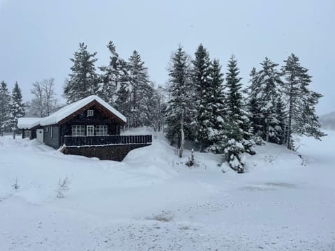 Property building, Day, Natural landscape, Winter