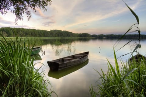 Spring, Neighbourhood, Fishing, View (from property/room), Lake view, Location