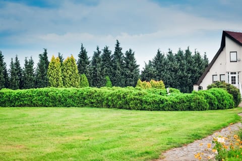 Property building, Facade/entrance, Garden