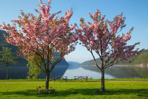 Spring, Day, Natural landscape, Lake view, Mountain view