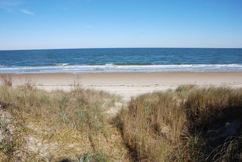 Old Time Beach Front Cottage - The Beach is your Backyard! Pet Friendly cottage House in Norfolk